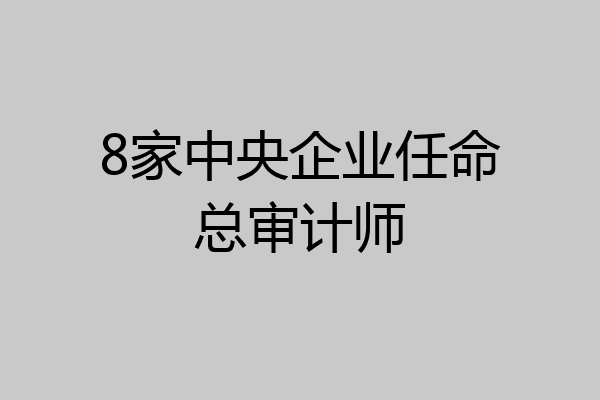 8家中央企业任命总审计师