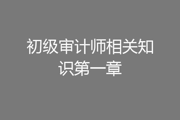 初级审计师相关知识第一章