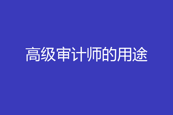 高级审计师的用途
