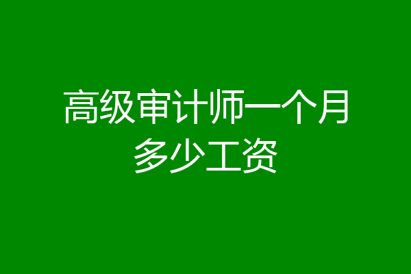 高级审计师一个月多少工资