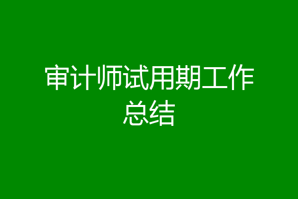 审计师试用期工作总结