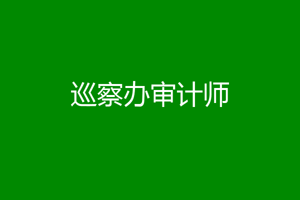 巡察办审计师