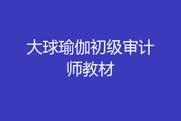 大球瑜伽初级审计师教材