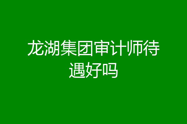 龙湖集团审计师待遇好吗