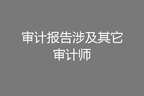 审计报告涉及其它审计师