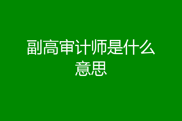 副高审计师是什么意思