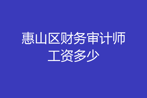 惠山区财务审计师工资多少