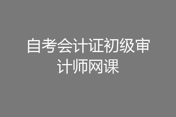 自考会计证初级审计师网课