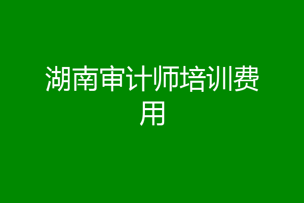 湖南审计师培训费用