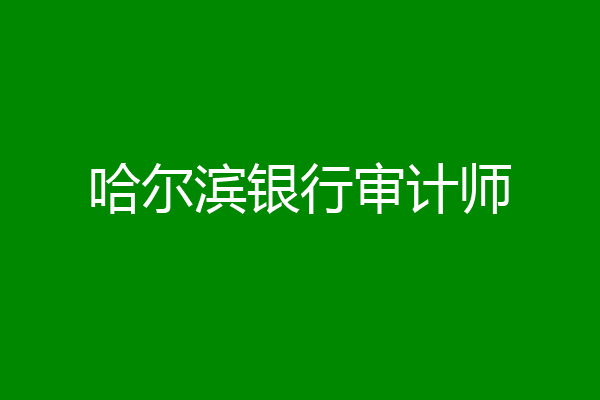哈尔滨银行审计师