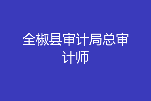 全椒县审计局总审计师
