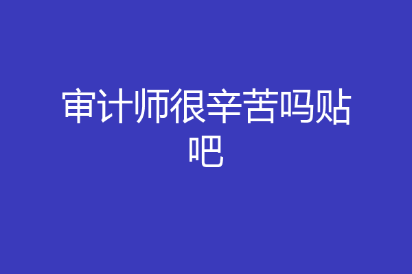 审计师很辛苦吗贴吧