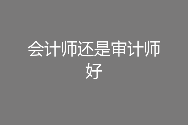会计师还是审计师好