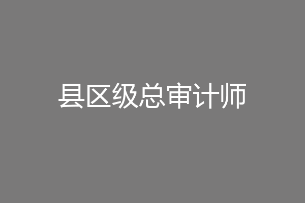 县区级总审计师