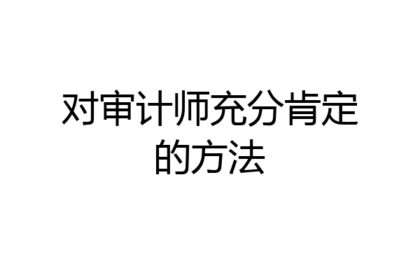 对审计师充分肯定的方法