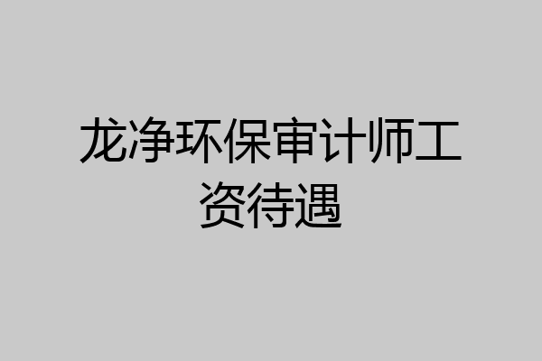 龙净环保审计师工资待遇