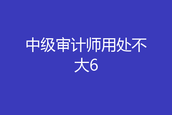 中级审计师用处不大6