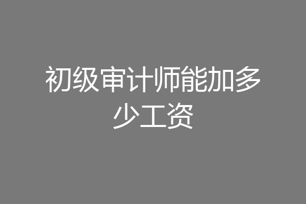 初级审计师能加多少工资