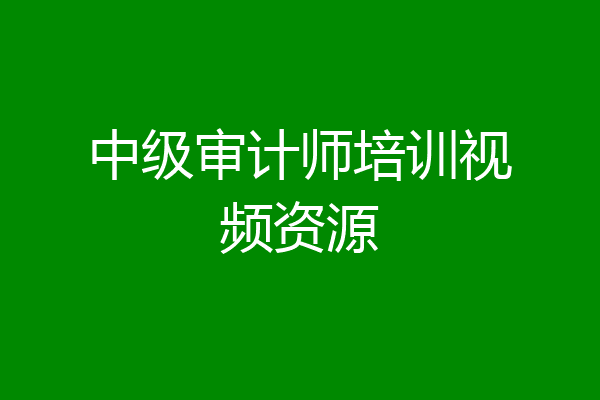 中级审计师培训视频资源
