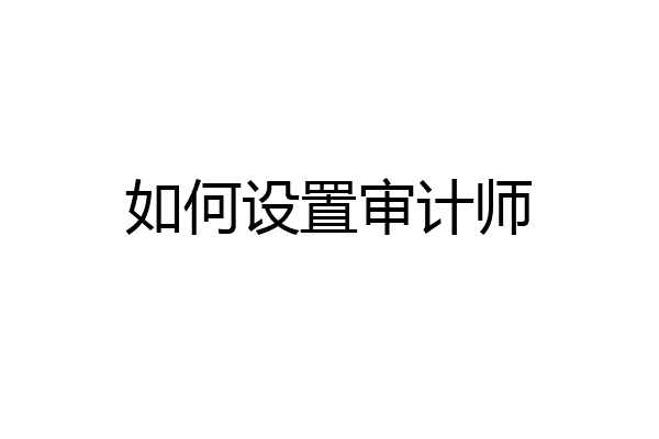 如何设置审计师