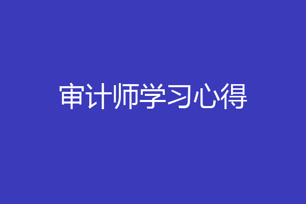 审计师学习心得