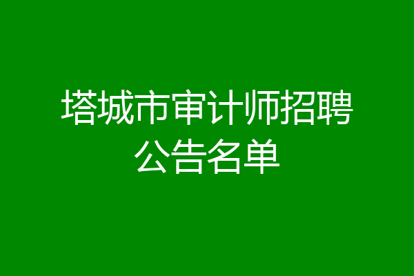 塔城市审计师招聘公告名单