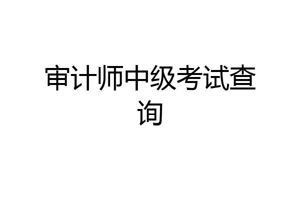 审计师中级考试查询