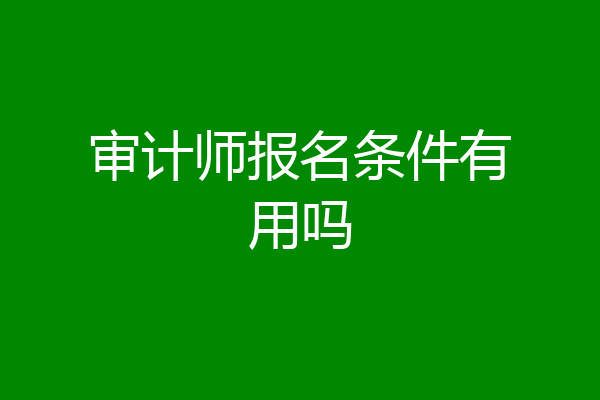 审计师报名条件有用吗
