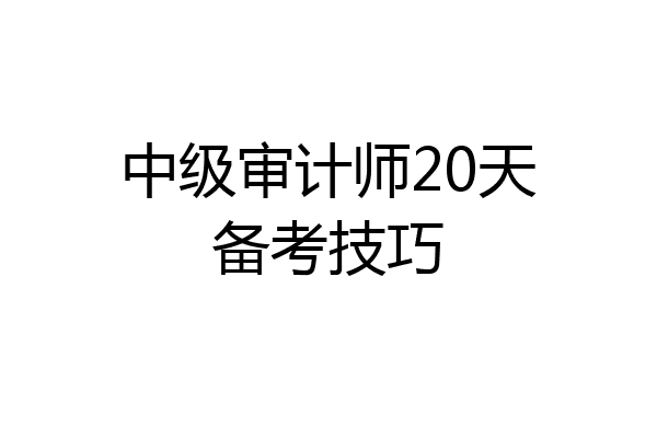 中级审计师20天备考技巧