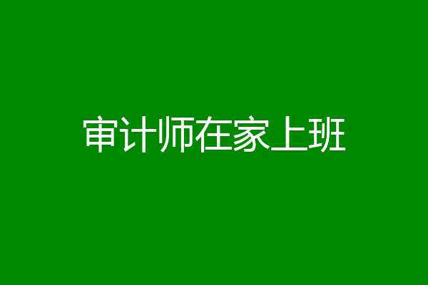 审计师在家上班