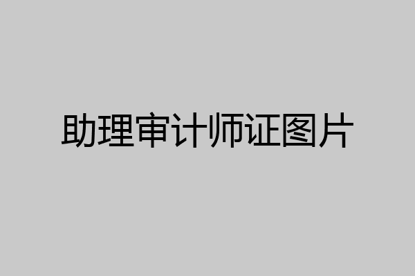 助理审计师证图片
