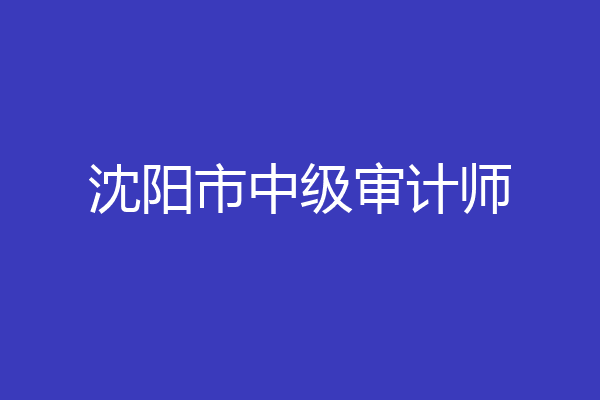 沈阳市中级审计师
