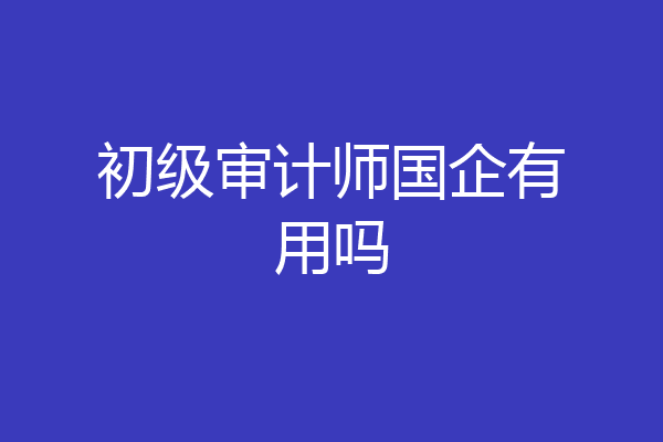 初级审计师国企有用吗