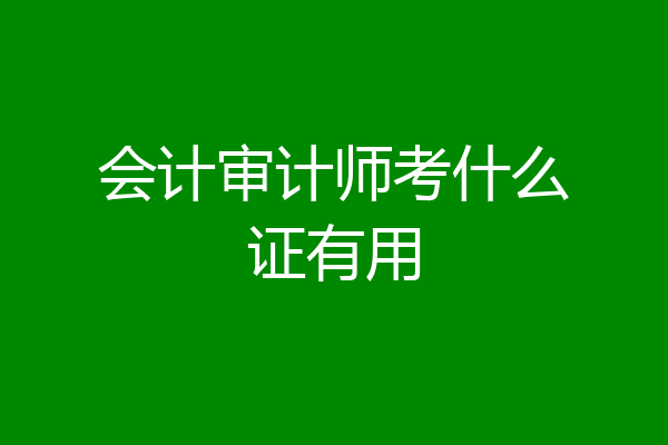 会计审计师考什么证有用