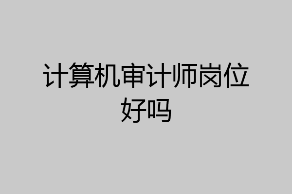 计算机审计师岗位好吗