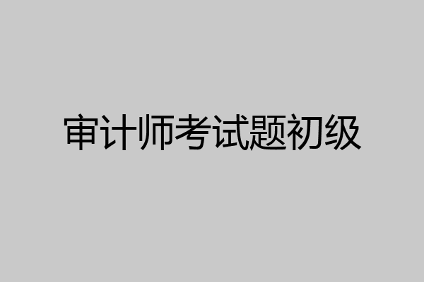 审计师考试题初级