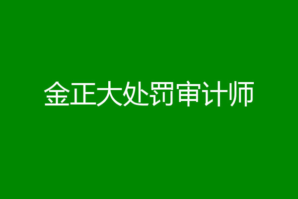 金正大处罚审计师
