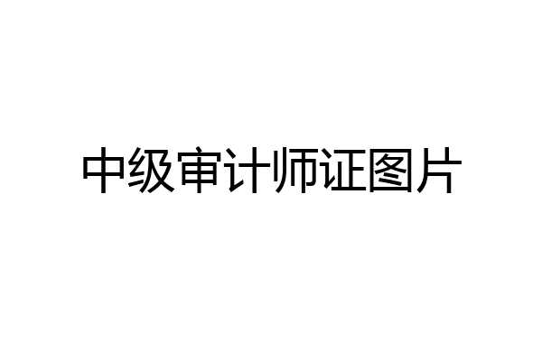 中级审计师证图片