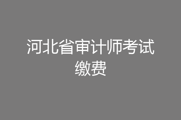 河北省审计师考试缴费