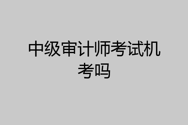 中级审计师考试机考吗
