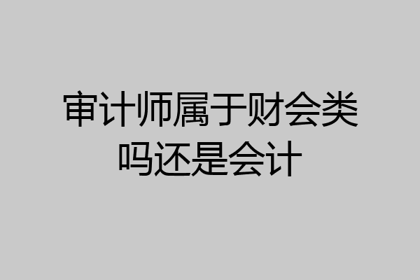 审计师属于财会类吗还是会计