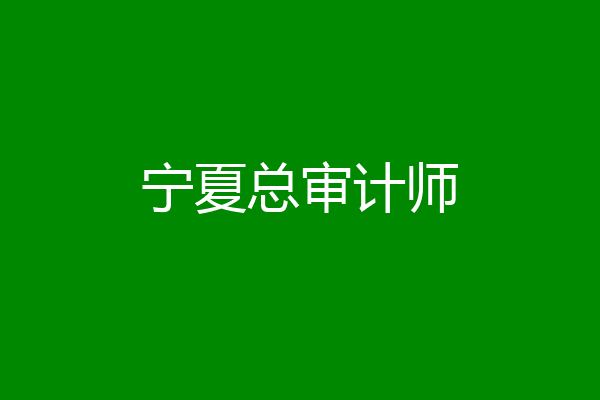 宁夏总审计师