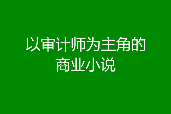 以审计师为主角的商业小说