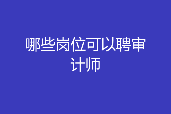 哪些岗位可以聘审计师