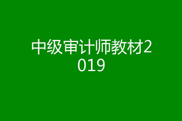 中级审计师教材2019