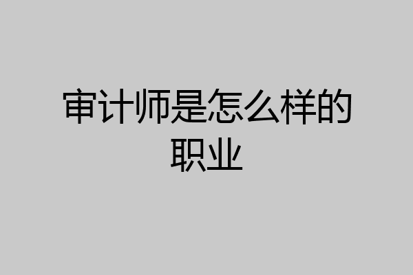 审计师是怎么样的职业