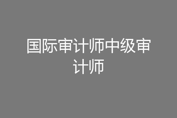 国际审计师中级审计师