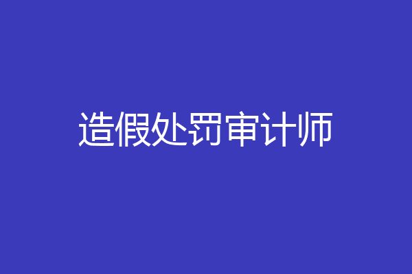 造假处罚审计师