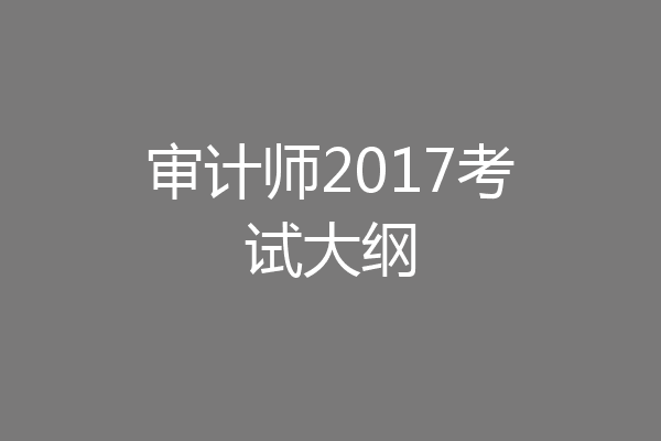 审计师2017考试大纲