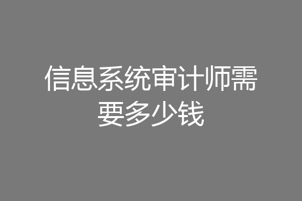 信息系统审计师需要多少钱